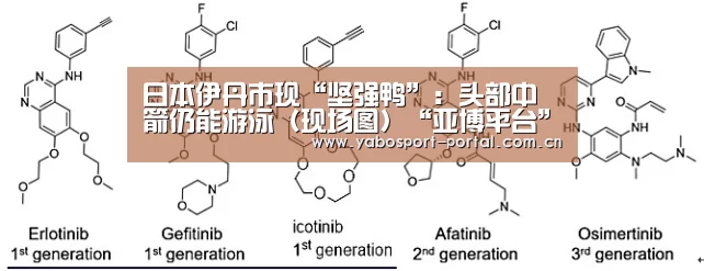 亚博官网