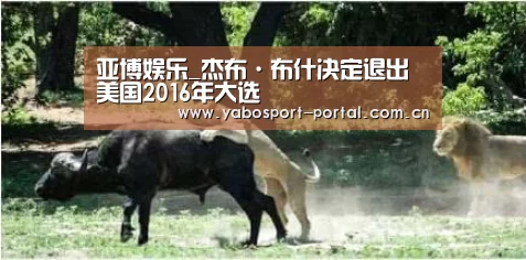 亚博娱乐_杰布·布什决定退出美国2016年大选(图2) 亚博娱乐